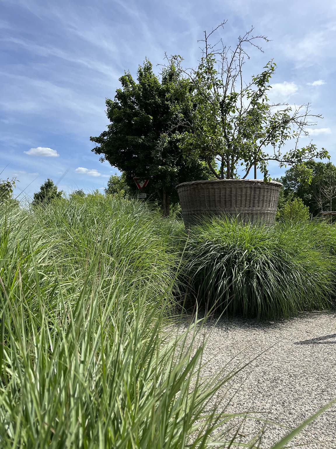 CantenayEpinard en images CantenayEpinard (49)